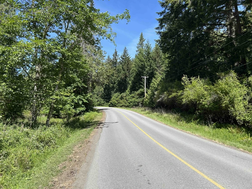 Winding Galiano Island road through trees with limited visibility ahead