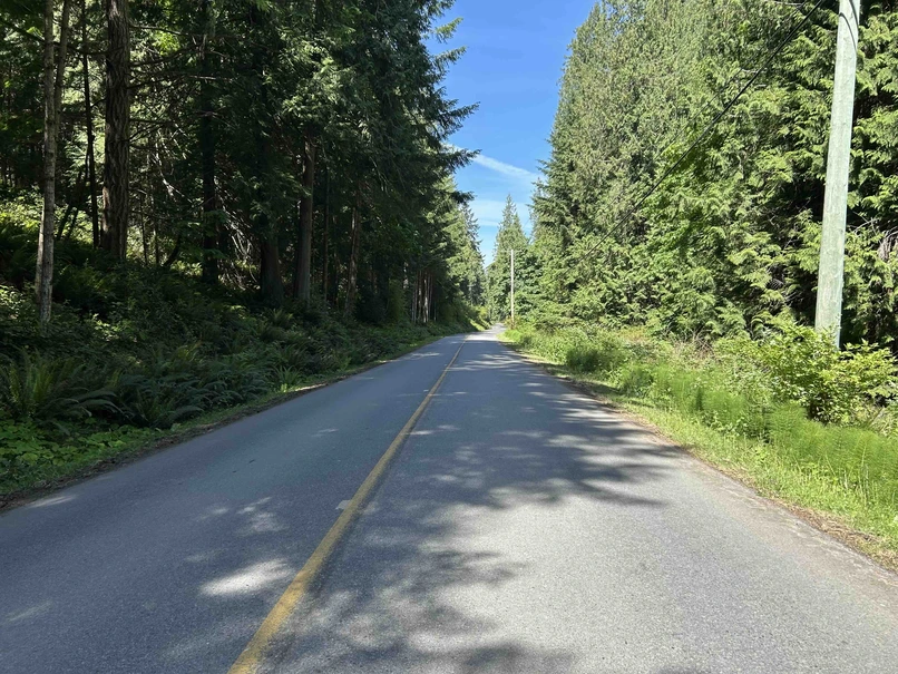 Narrow paved road on Galiano Island lined with forest, with no bicycle lane